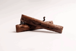 🍫佳禾 巧克力雪茄蛋糕 ｜Jiahe Chocolate Cigar Cake