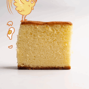 🟠 佳禾 長崎蛋糕｜Castella