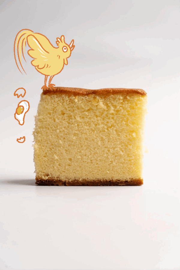 🟠 佳禾 長崎蛋糕｜Castella