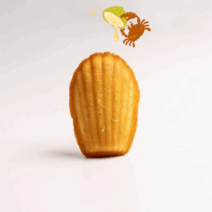 🍋佳禾 檸檬費南雪 ｜Lemon Financier