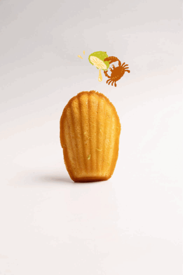 🍋佳禾 檸檬費南雪 ｜Lemon Financier